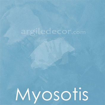 myosotis