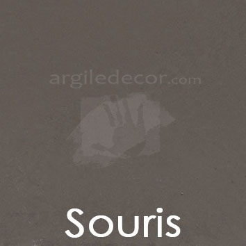 Souris