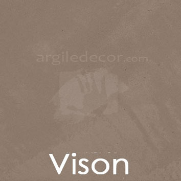 Vison