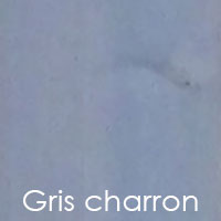 Gris charron