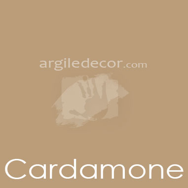 Cardamone