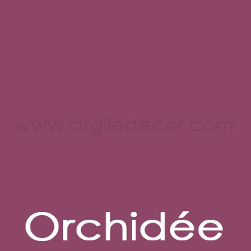 Orchidée